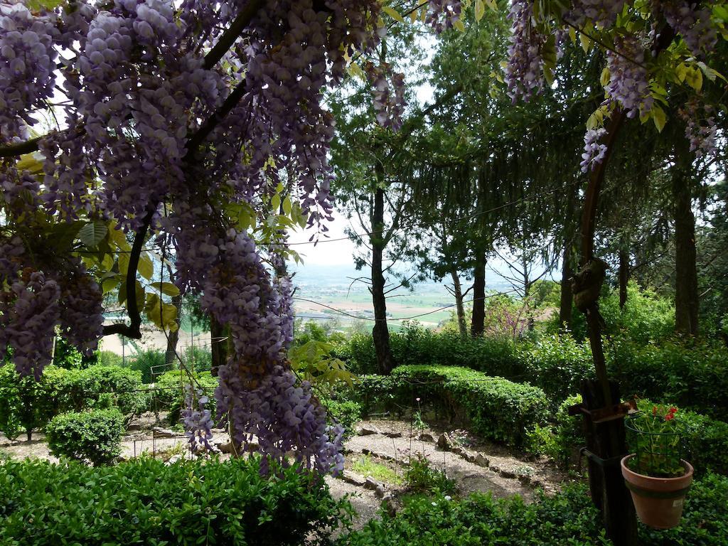 Casa Fiorita Bed and Breakfast Sant'Enea Buitenkant foto