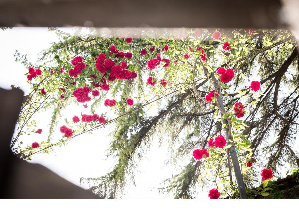 Casa Fiorita Bed and Breakfast Sant'Enea Buitenkant foto